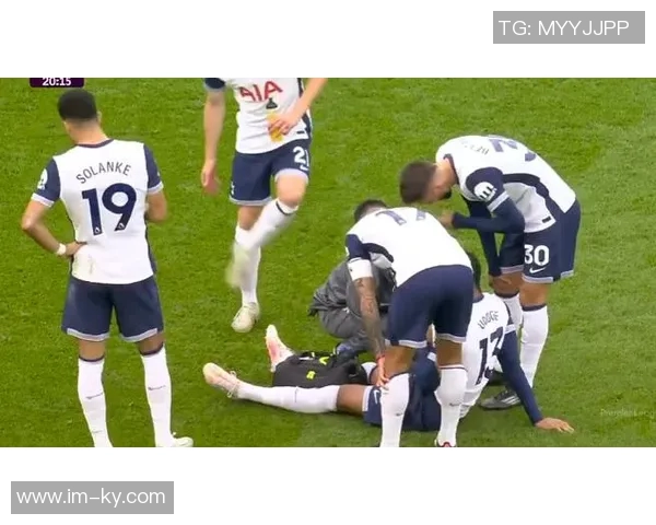 热刺后卫乌多吉赛后遭遇恶性事件价值15万镑路虎车被砸毁 热刺后卫乌多吉赛后遭遇恶性事件价值15万镑路虎车被砸毁